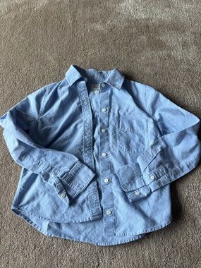 Aritzia Wilfred Light Blue Button-Down Shirt